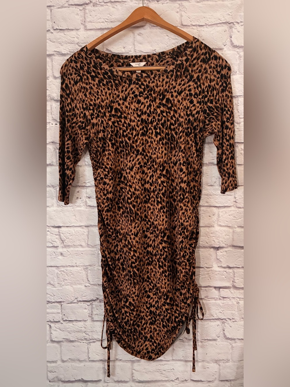Terra & Sky Brown and Black Leopard-Print Dress - 0X